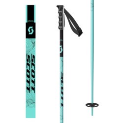 Ski Pole SEA